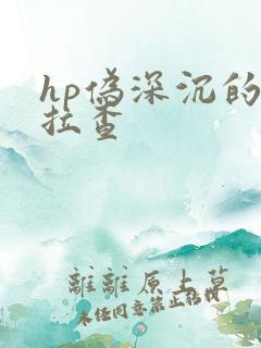 hp伪深沉的萨拉查