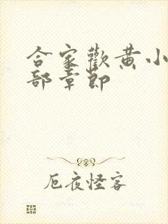 合家欢黄小梅全部章节