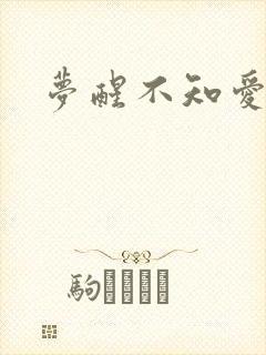 梦醒不知爱欢凉