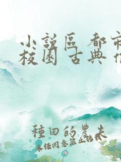 小说区 都市 校园 古典 偷拍