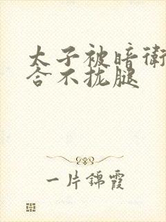 太子被暗卫c到合不拢腿