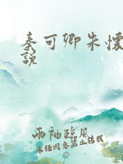 秦可卿朱怀镜小说