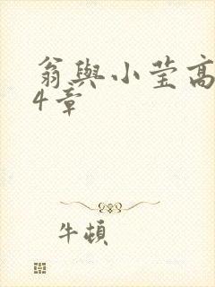 翁与小莹高潮24章