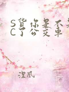 S货你是不是欠C了公交车