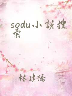 sodu小说搜索
