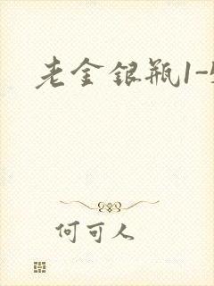 老金银瓶1-5