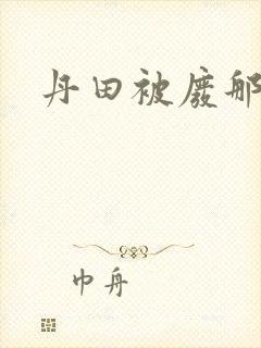 丹田被废那些年