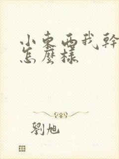 小东西我干的你怎么样