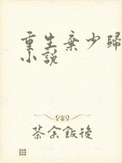 重生弃少归来 小说