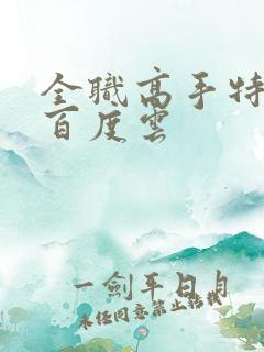 全职高手特别篇百度云