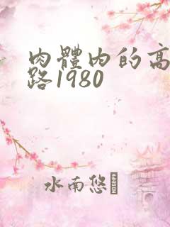 肉体内的高速公路1980