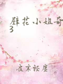 壁花小姐奇遇记3