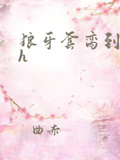 狼牙套脔到她哭h