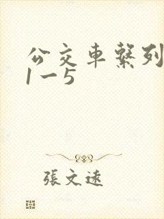 公交车系列合集1一5