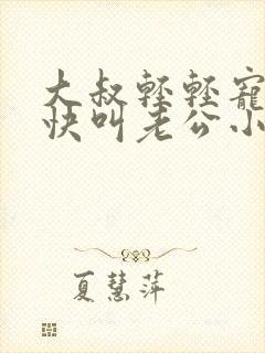 大叔轻轻宠宝贝快叫老公小说