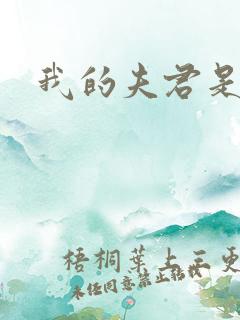 我的夫君是冥王