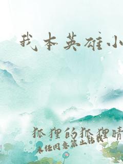 我本英雄小说