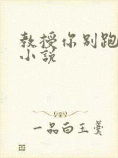 教授你别跑话本小说