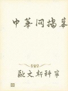 中华网揭幕内参