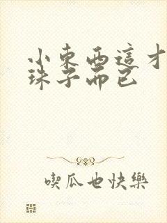 小东西这才一颗珠子而已