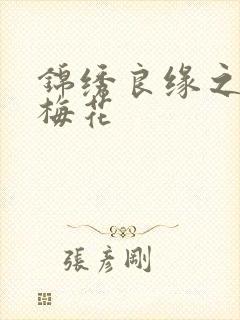 锦绣良缘之驿寄梅花