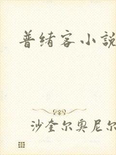 普绪客小说