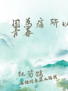 因为痛 所以叫青春