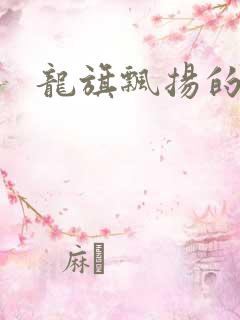 龙旗飘扬的舰队