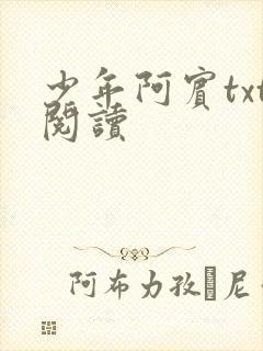 少年阿宾txt阅读