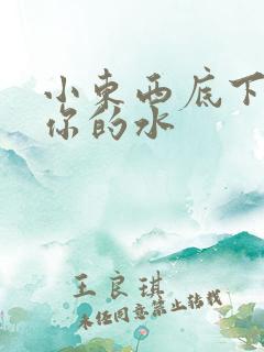 小东西底下都是你的水