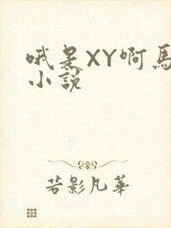 哦是XY啊马仔小说