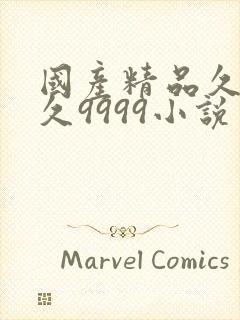 国产精品久久久久9999小说