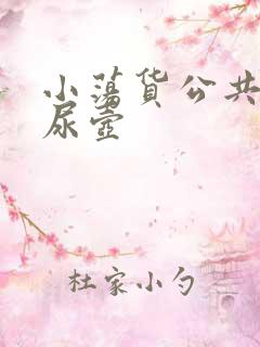 小荡货公共精厕尿壶