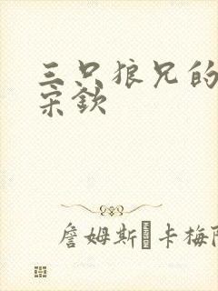 三只狼兄的宠妻宋钦