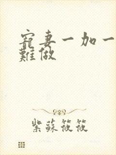 宠妻一加一老婆难做