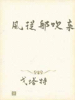 风从那吹来小说