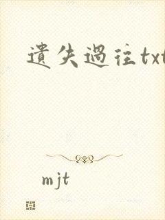 遗失过往txt