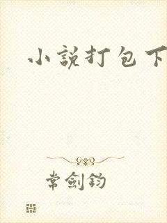 小说打包下载