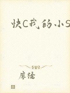 快C我的小SB