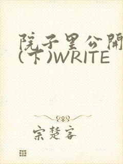 院子里公开惩戒(下)WRITE