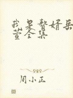我是赘婿岳风柳萱全集
