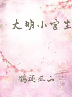 大明小官生活