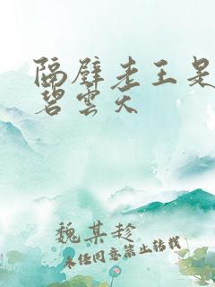 隔壁老王是皇帝碧云天