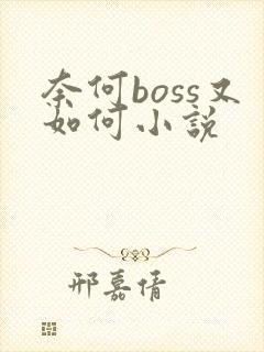 奈何boss又如何小说