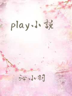 play小说