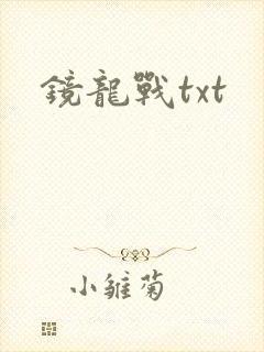 镜龙战txt