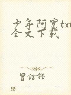 少年阿宾txt全文下载