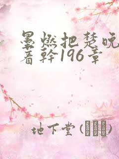 墨燃把楚晚宁按着干196章