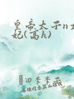 皇帝太子n太子妃(高h)