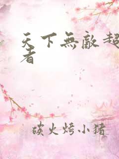 天下无敌超级忍者